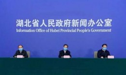 湖北记者爆料新闻事件,揭开某重大新闻事件背后真相